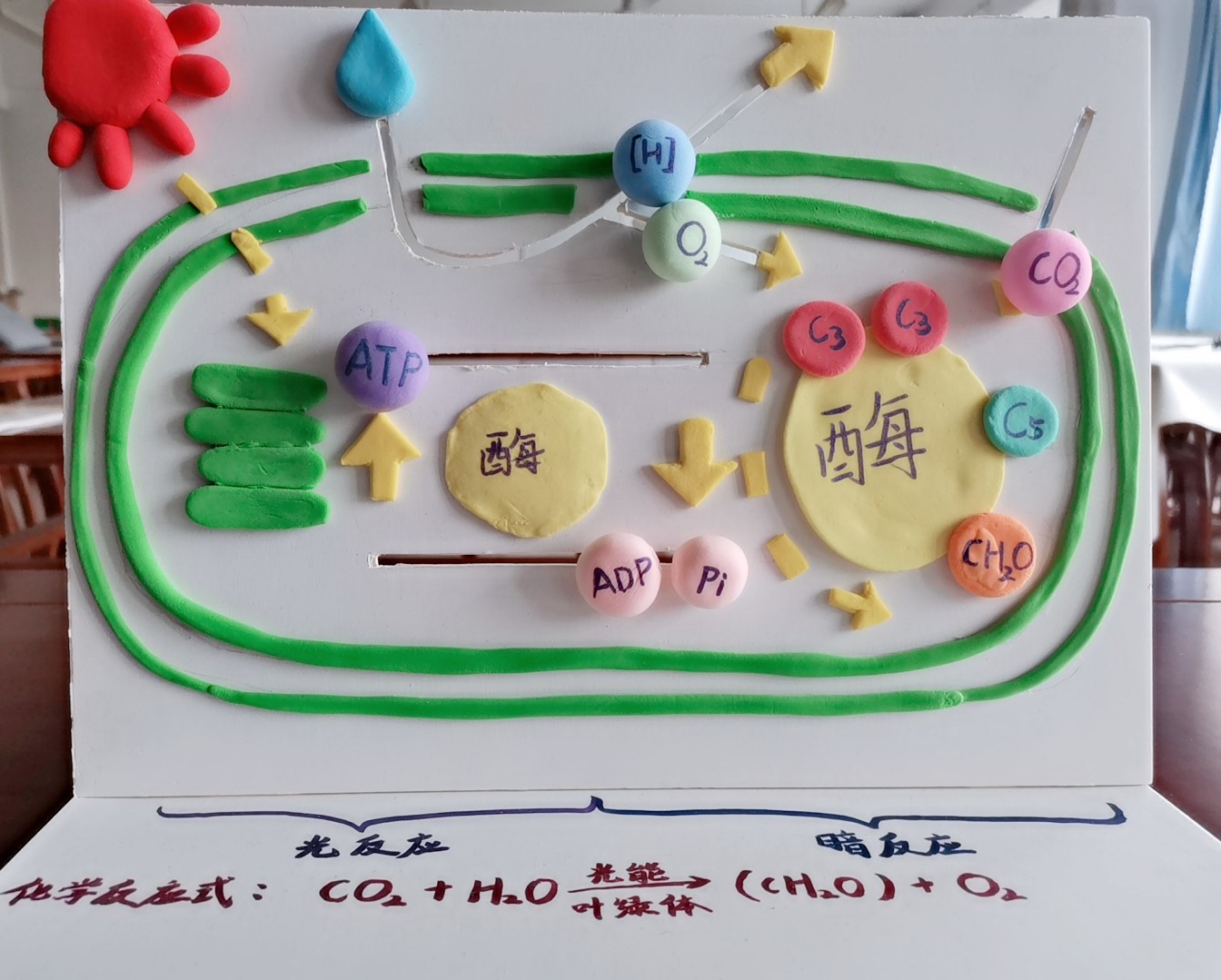 生命科学学院举办师范生&ldquo;慧心巧思&rdquo;教具设计与制作大赛