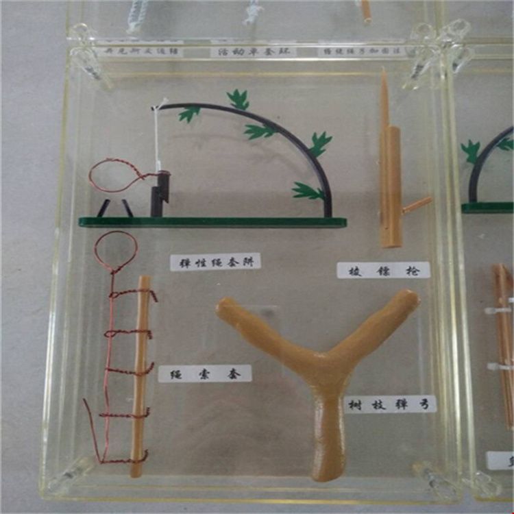 野外指挥作业箱 新标准野外生存教具箱 总参配发野外生存教具箱